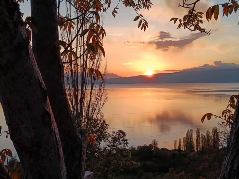 Ohrid: Vik's winetasting - A Deep Dive into the Experience