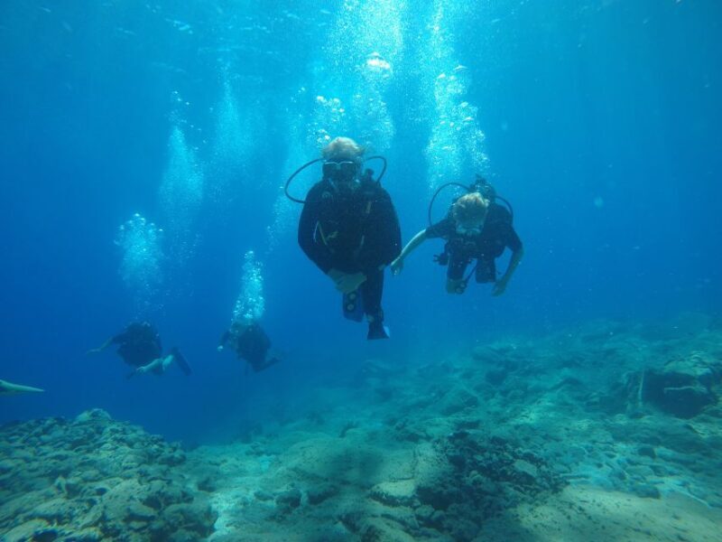 Oia: 2 Guided Scuba Dives off Santorini for Certified Divers - What to Expect from Your Santorini Underwater Adventure