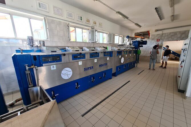 Oil Mill Private Tour with Guided Oil Tasting - Frequently Asked Questions