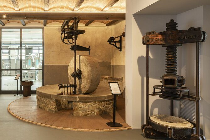 Oil museum and oil mill in Tuscany: tour and tasting - A Closer Look at the Oil Museum and Oil Mill Experience