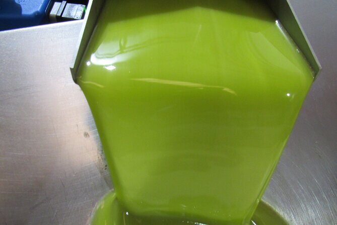 Oil tourism in Pulpí Discover the World of EVOO - The Sum Up
