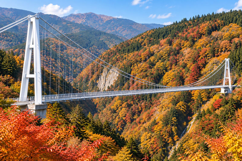 Oita Autumn Foliage Day Trip | Kokonoe "Yume" Otsushashi Bridge / Kyusuikei / Keiseien / Hitome Hakkei (Departing from Fukuoka) - Four Oita autumn stops at a glance