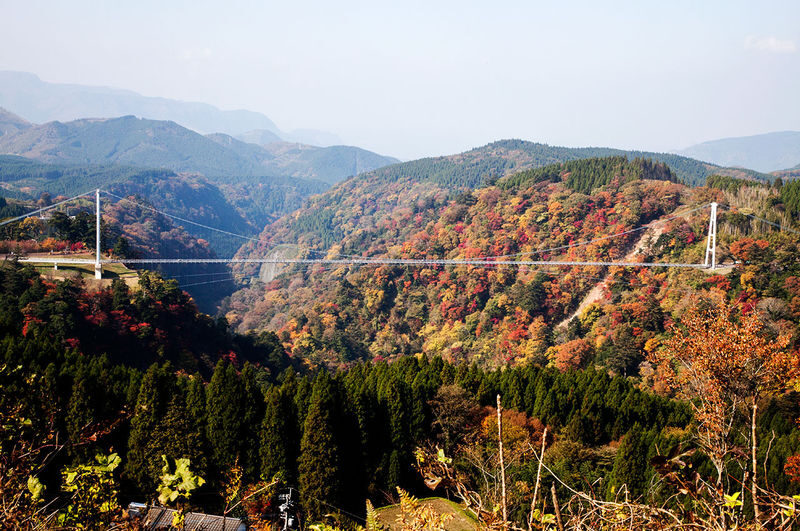 Oita Autumn Foliage Day Trip | Kokonoe "Yume" Otsushashi Bridge / Kyusuikei / Keiseien / Hitome Hakkei (Departing from Fukuoka) - A slower garden walk at Keiseki-en