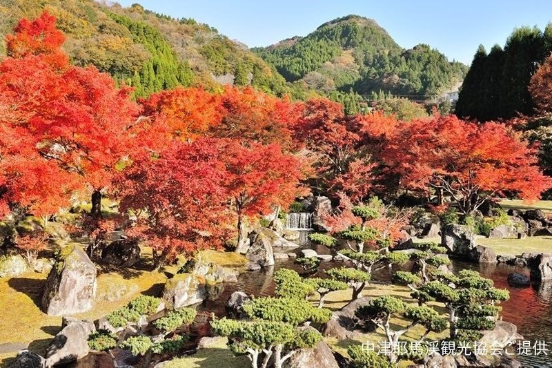Oita Autumn Foliage Day Trip | Kokonoe "Yume" Otsushashi Bridge / Kyusuikei / Keiseien / Hitome Hakkei (Departing from Fukuoka) - Yabakei’s peaks and rock formations