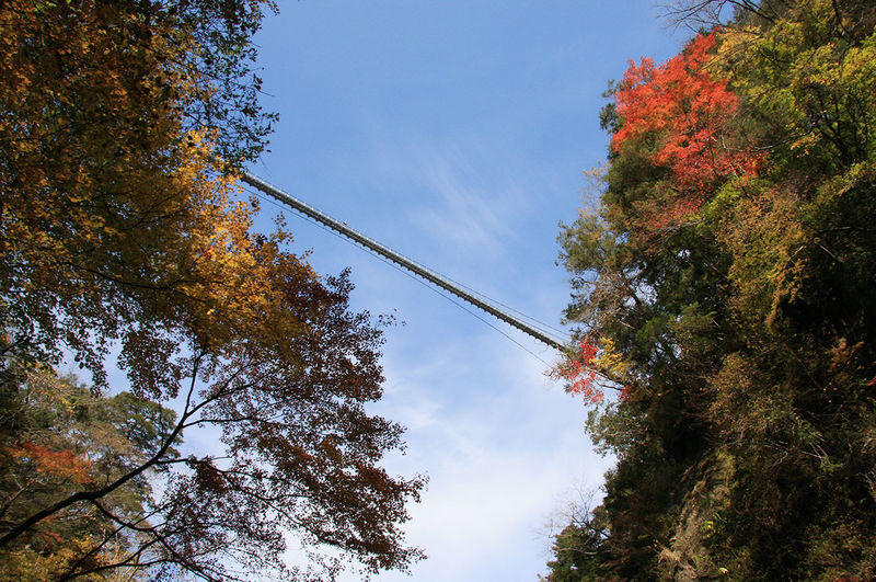 Oita Autumn Foliage Day Trip | Kokonoe "Yume" Otsushashi Bridge / Kyusuikei / Keiseien / Hitome Hakkei (Departing from Fukuoka) - The guide, vehicle and language mix