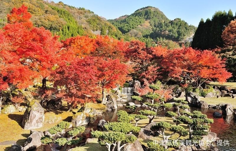 Oita Autumn Foliage Day Trip | Kokonoe "Yume" Otsushashi Bridge / Kyusuikei / Keiseien / Hitome Hakkei (Departing from Fukuoka) - Who will get the most from this tour