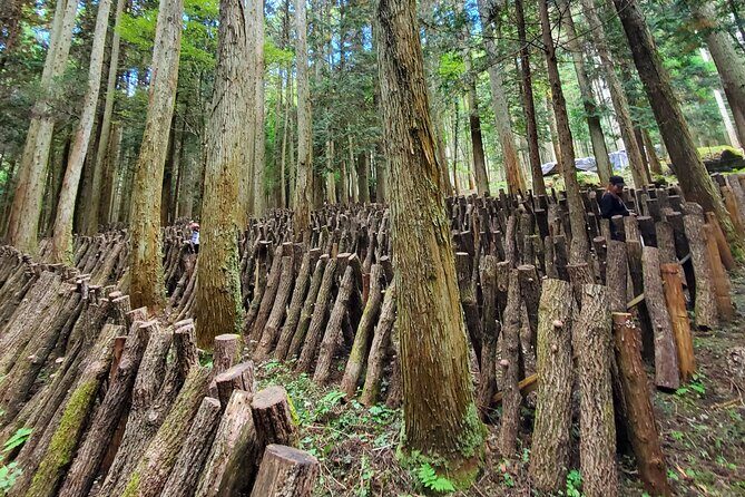 Oita: Shiitake Mushroom Farm Tour & Tasting - Final Thoughts