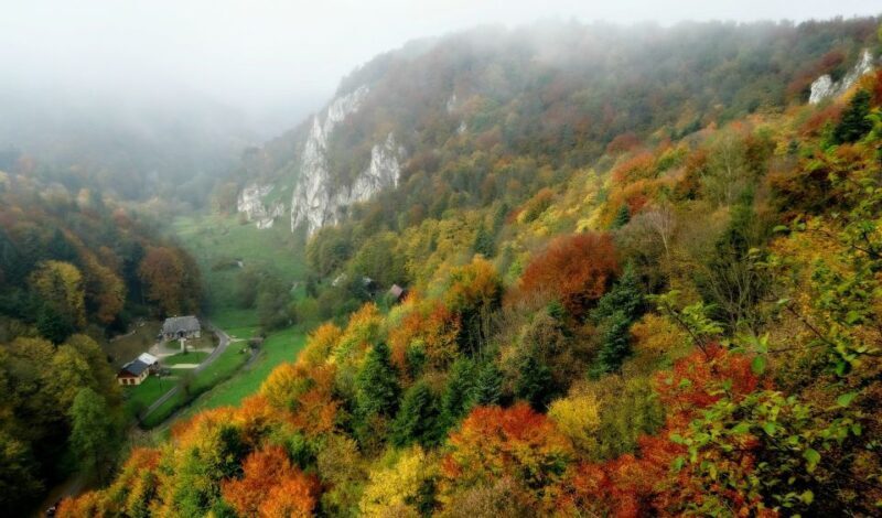 Ojcow National Park: Full-Day Trip from Krakow - Practical Considerations and Tips