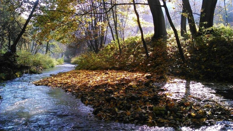 Ojcow National Park: Full-Day Trip from Krakow - Final Words