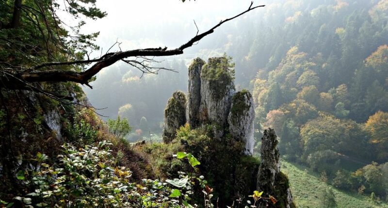 Ojcow National Park: Full-Day Trip from Krakow - FAQ