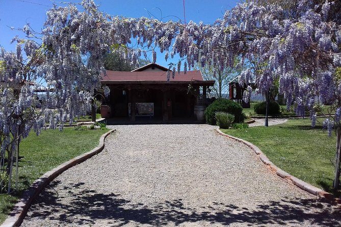Ojos Negros Valley Wine and Cheese Route Tour in Baja California - A Deep Dive into the Ojos Negros Valley Wine and Cheese Route