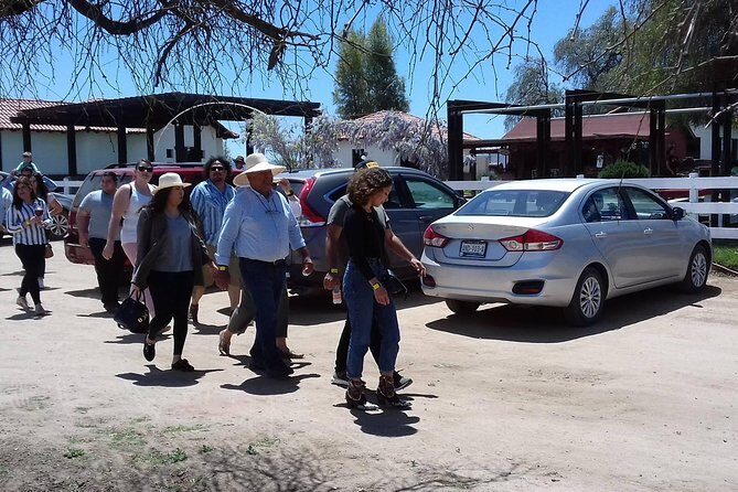 Ojos Negros Valley Wine and Cheese Route Tour in Baja California - FAQ