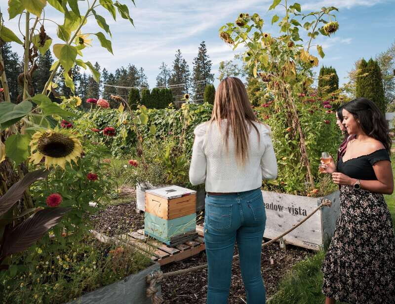 Okanagan Bee Tour, Wine Tasting and Lunch at Kelowna Winery - FAQ