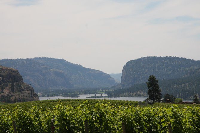 Okanagan Falls Private Wine Tour - Full Day - FAQ