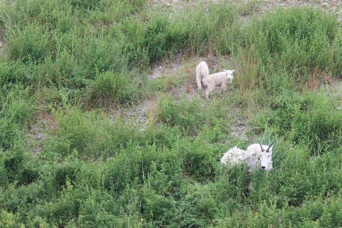 Okanagan Valley Discovery Tour - The Final Word