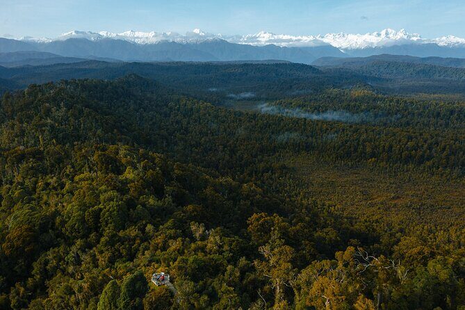 Okarito Nature Tour - Experience the Hidden Charm of Okarito on a Nature Tour