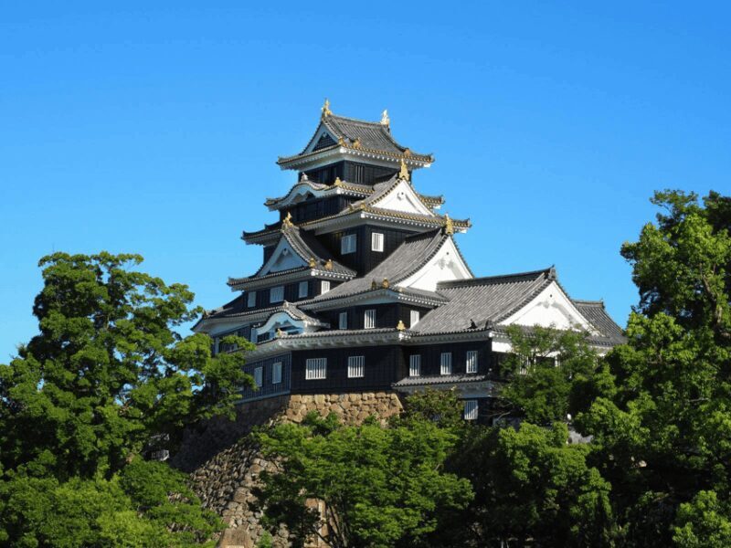 Okayama Castle Admission Ticket - Key Points