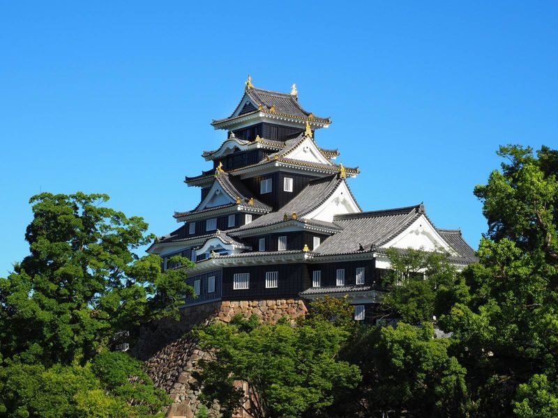 Okayama Castle Ticket - At a glance