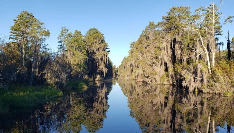 Okefenokee Swamp: Guided Boat Tour with a Local Naturalist - Key Points