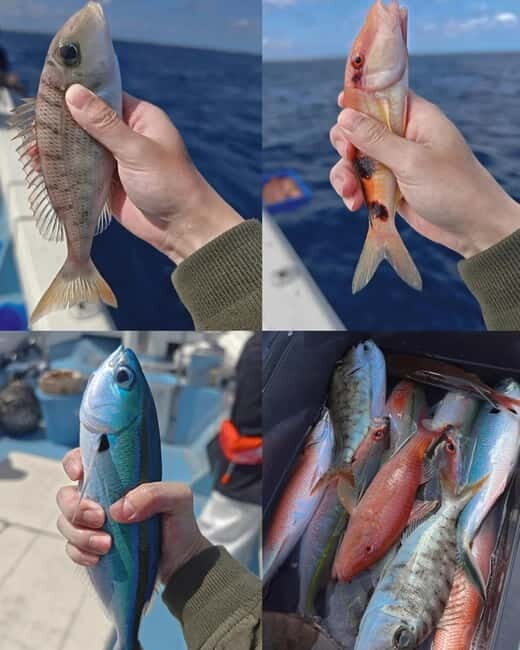 Okinawa: 1/2-Day Private Sea Fishing Charter, Naha w/Pickup - The Sum Up