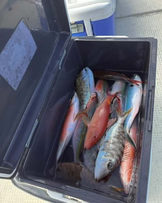 Okinawa: 1/2-Day Private Sea Fishing Charter, Naha w/Pickup - Frequently Asked Questions