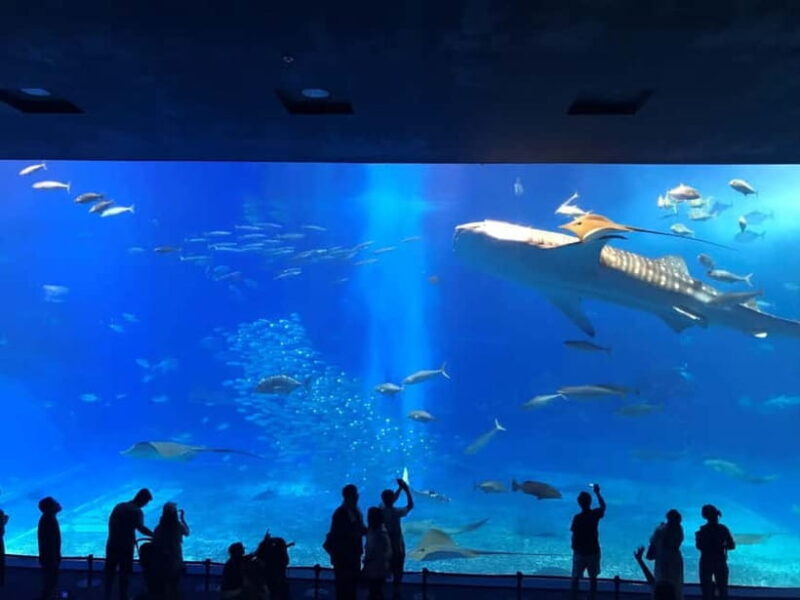 Okinawa: Aquarium, Kouri Island, & American Village Bus Tour - Frequently Asked Questions