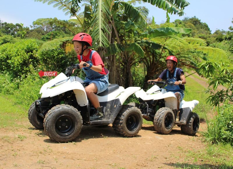 Okinawa ATV Experience in Yanbaruncho Forest - A few useful things to know