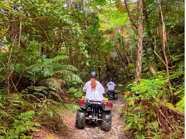 Okinawa ATV Jungle Buggy Tour | No License Required, Rain or Shine, Ages 5+ Welcome | Nago/Nanjo Locations Available - What the 30-minute Nanjo ride feels like