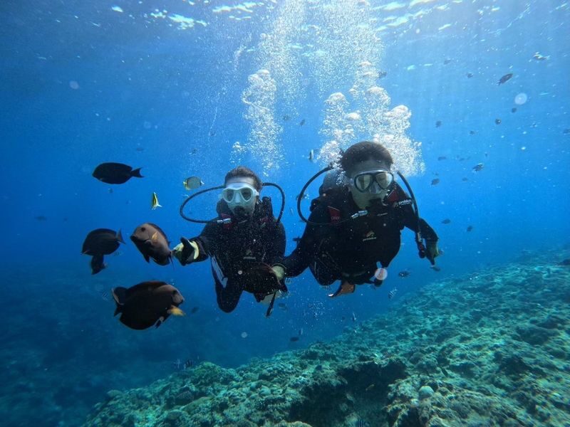 Okinawa: Blue Cave Experience Diving - Includes GoPro Photos & Underwater Fish Feeding (Private Group for Each Booking) - Starting at Island Club in Onna
