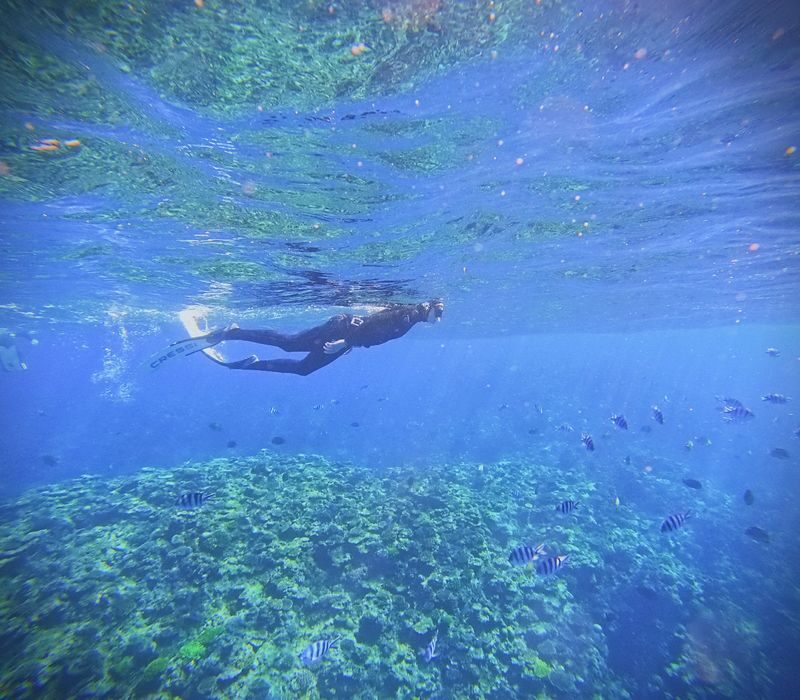 Okinawa Blue Cave Fun Free Diving (Boat entry/Free photography) - GoPro photos are part of the value
