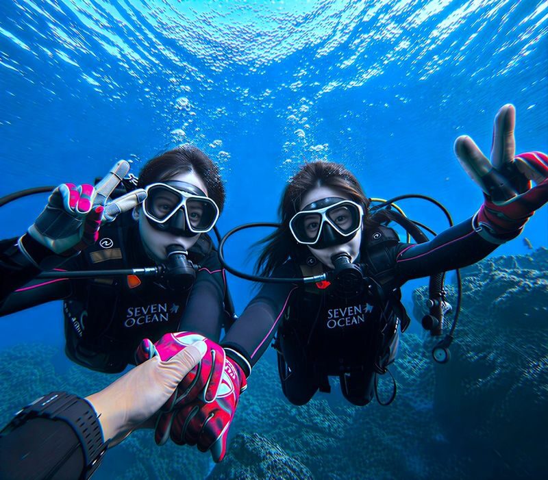 Okinawa: Blue Cave Introductory Dive (Boat Trip) - A beginner lesson, not a full course