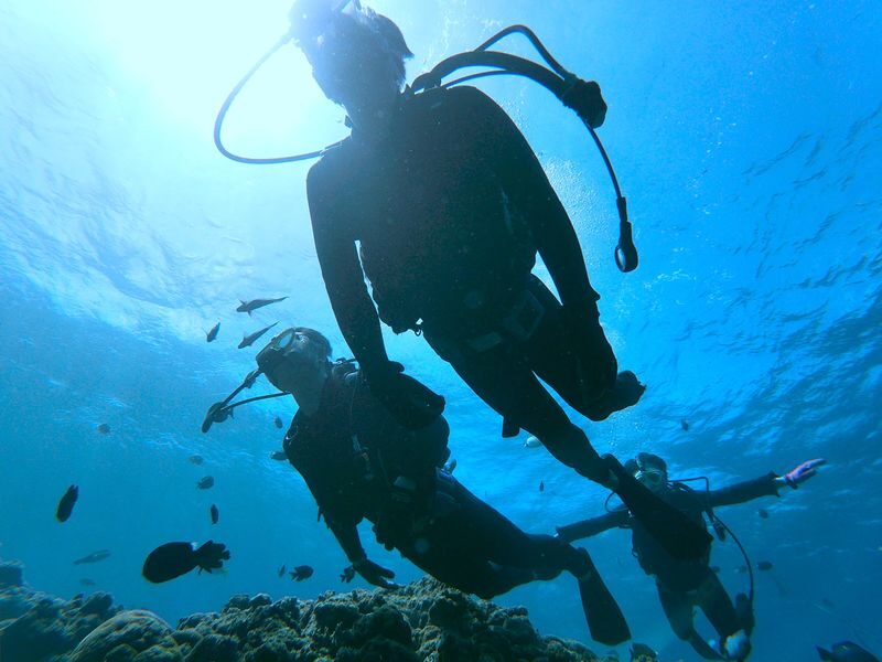 Okinawa: Blue Cave Introductory Dive (Boat Trip) - What the US$70.99 price covers