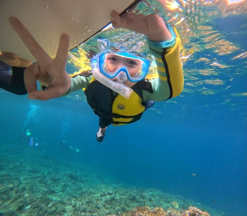 Okinawa: Blue Cave Snorkeling and Diving (Supports Chinese/English/Japanese/Korean) - Who is likely to enjoy it