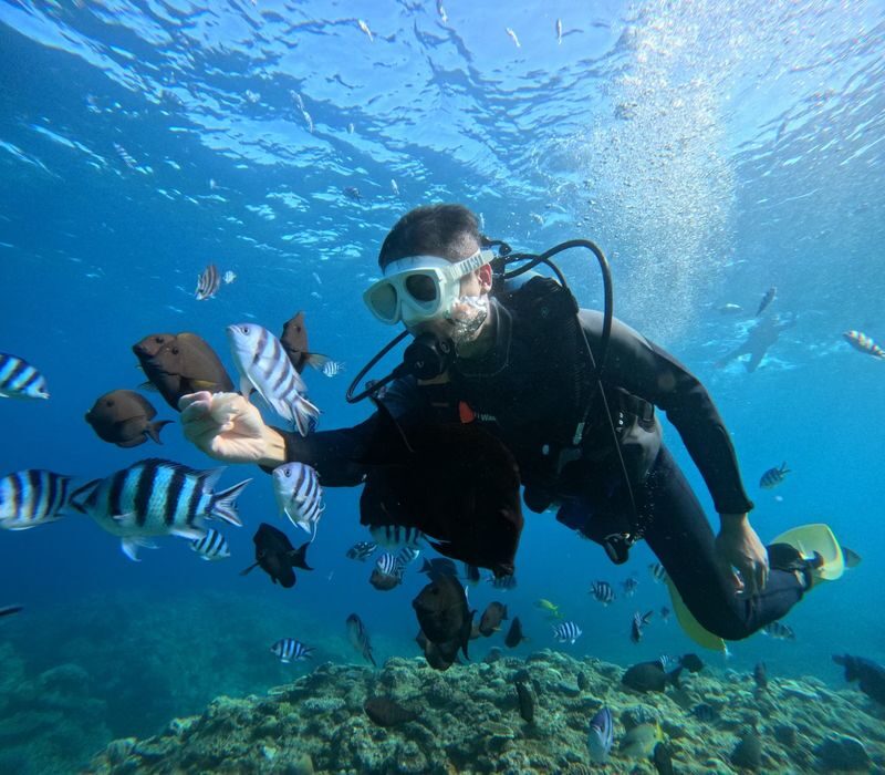 Okinawa: Blue Cave Snorkeling and Diving (Supports Chinese/English/Japanese/Korean) - Should you book this Cape Maeda outing?