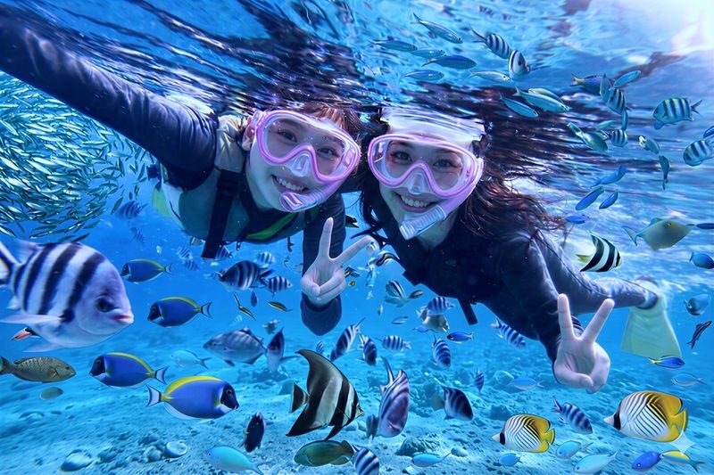 Okinawa: Blue Cave Snorkeling Experience (Boat Dive) - Who will feel comfortable in the water