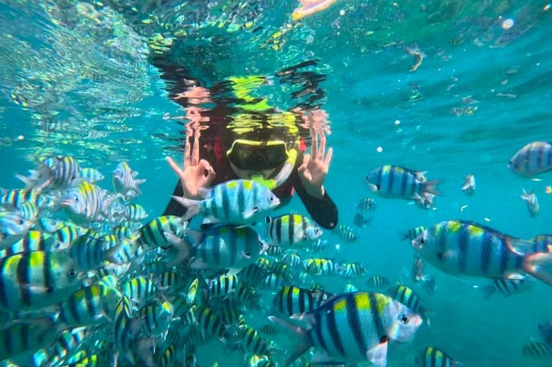 Okinawa Blue Cave Snorkeling + Whale Shark Swimming/Diving Day Trip (Includes Pickup + Lunch) - Two Okinawa sea stops in one day