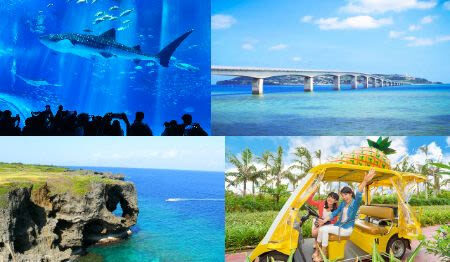 Okinawa Churaumi Aquarium & Kouri Island Full-Day Sightseeing Bus Tour - A practical way to see northern Okinawa