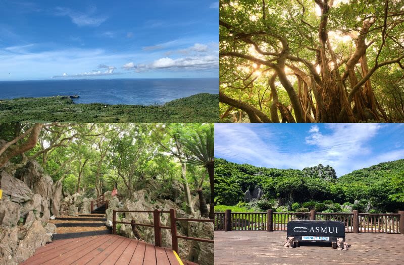 Okinawa Churaumi Aquarium & Kouri Island Full-Day Sightseeing Bus Tour - Nago Pineapple Park: fun, but not for everyone