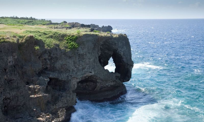 Okinawa Churaumi Aquarium & Kouri Island Full-Day Tour - A full day that trades freedom for convenience