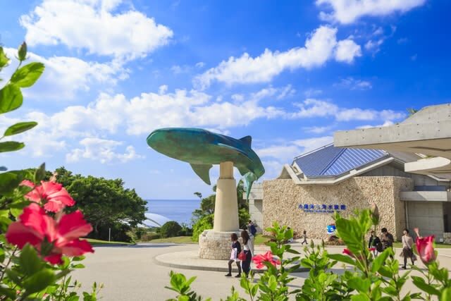 Okinawa Churaumi Aquarium Ticket - Decide how you will get to Motobu