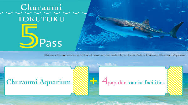 Okinawa Churaumi TokuToku 5 Pass / 3 Pass - At a glance: what the pass includes