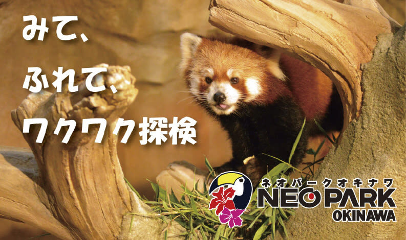 Okinawa Churaumi TokuToku 5 Pass / 3 Pass - Five days sounds generous, but geography still matters
