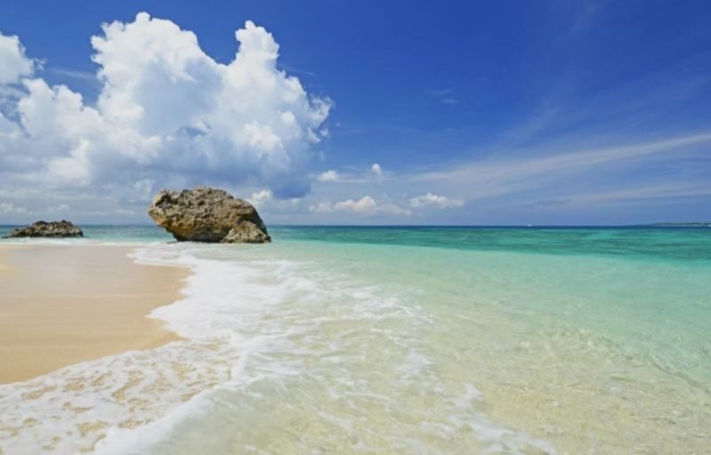 Okinawa day trip private car charter - choose from classic routes & pick-up/drop-off from north/central/south/cruise port/airport/hotel + customizable itinerary - At a glance