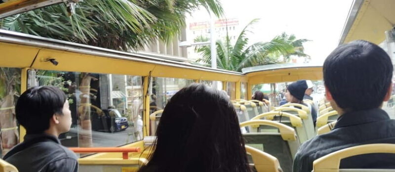 Okinawa: Double-Decker Open Top Bus Tour for Shuri Castle - Who Should Consider This Tour?