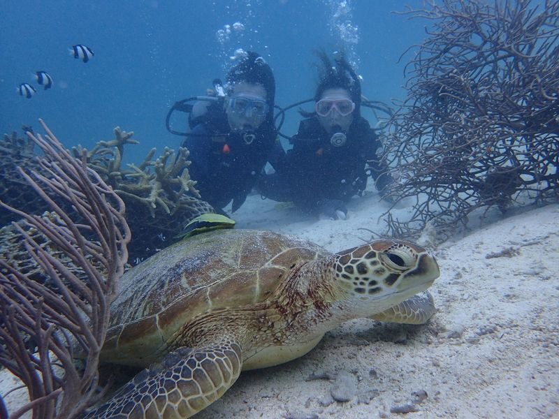 Okinawa Dream Reef | Easy Boat Trip! Snorkeling & Scuba Diving Experience | Free Unlimited Photos & Videos | Chinese Coach - What the reef can and cannot promise