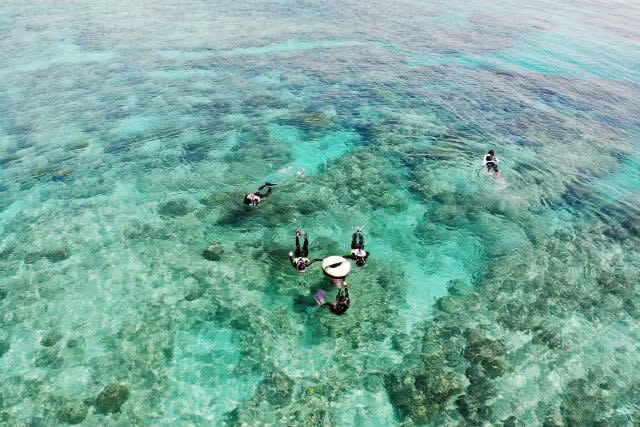 Okinawa EGG diving Cosplay & Snorkeling Experience - Should you book it?