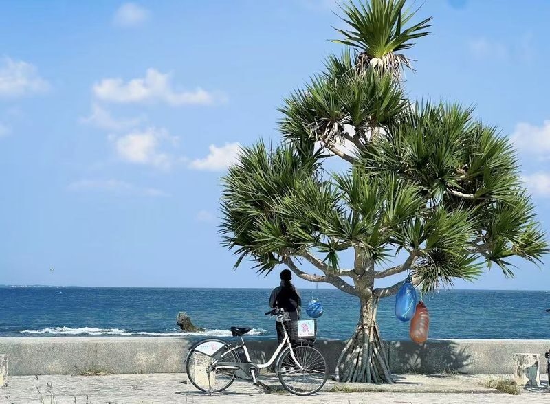 Okinawa Electric Assist Bicycle Rental - Is $11.85 good value?