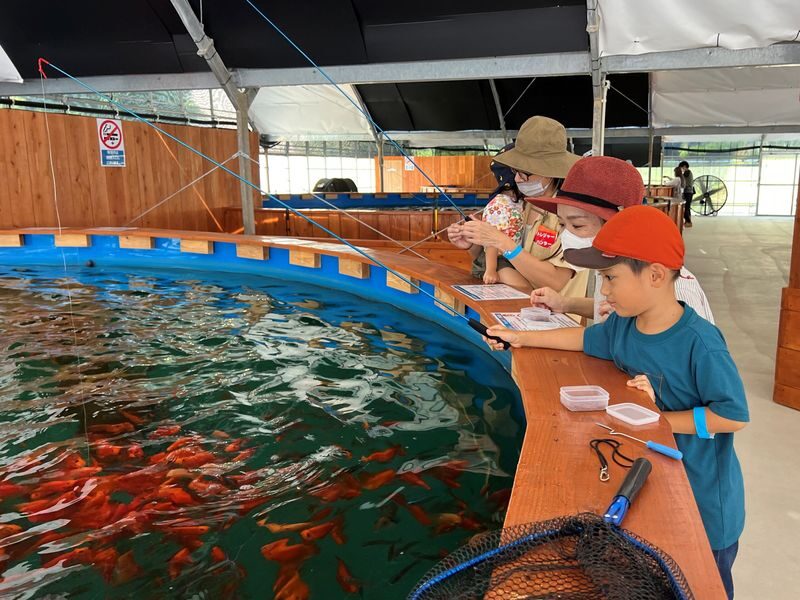 Okinawa Fishing Treasure Hunt Adventure Kingdom (All-weather Indoor Parent-Child Park-Fishing and Digging for Treasure) - What to know before you go