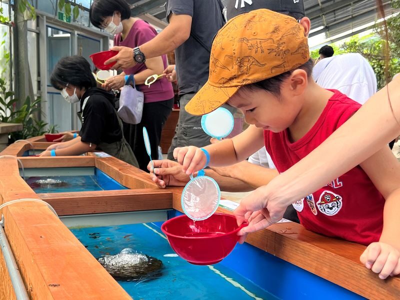 Okinawa Fishing Treasure Hunt Adventure Kingdom (All-weather Indoor Parent-Child Park-Fishing and Digging for Treasure) - A family park built around trying things