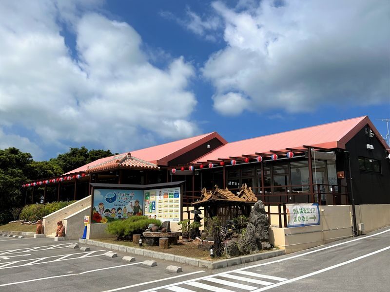 Okinawa Fishing Treasure Hunt Adventure Kingdom (All-weather Indoor Parent-Child Park-Fishing and Digging for Treasure) - Dinosaur displays, insect forest, and maze time